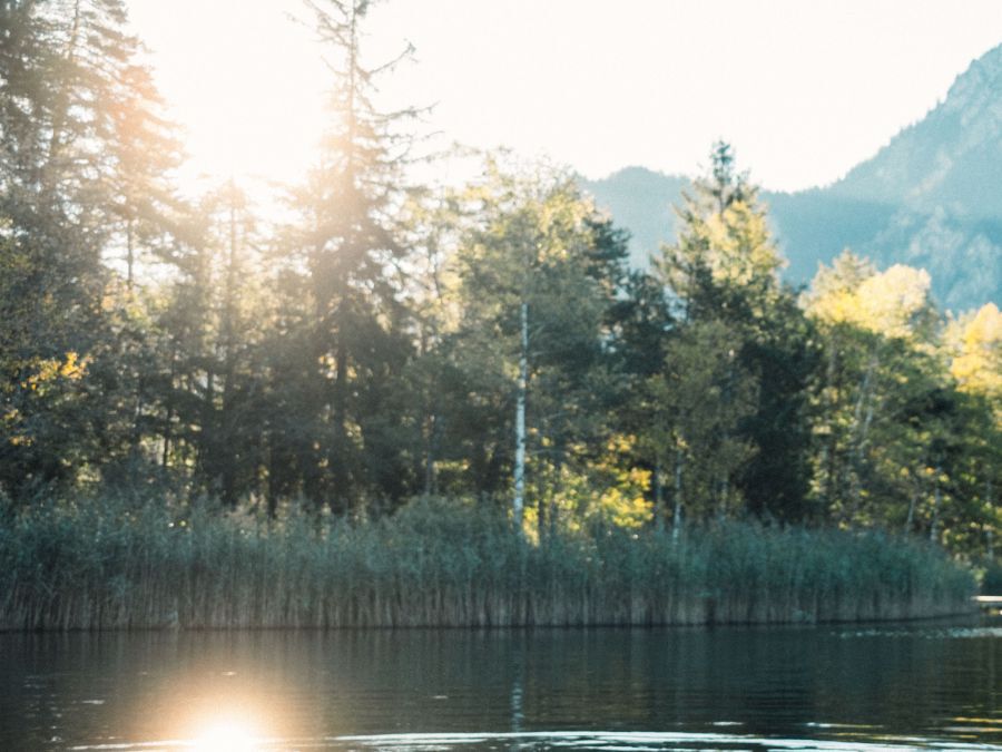 Heren T-shirts & polo's