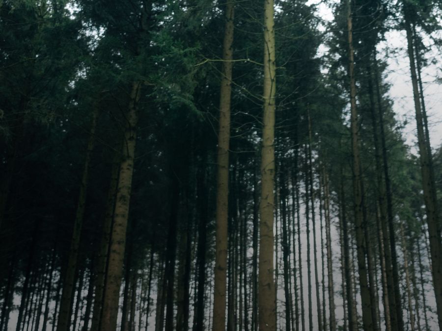 Uitrusting Onderhoudsmiddelen