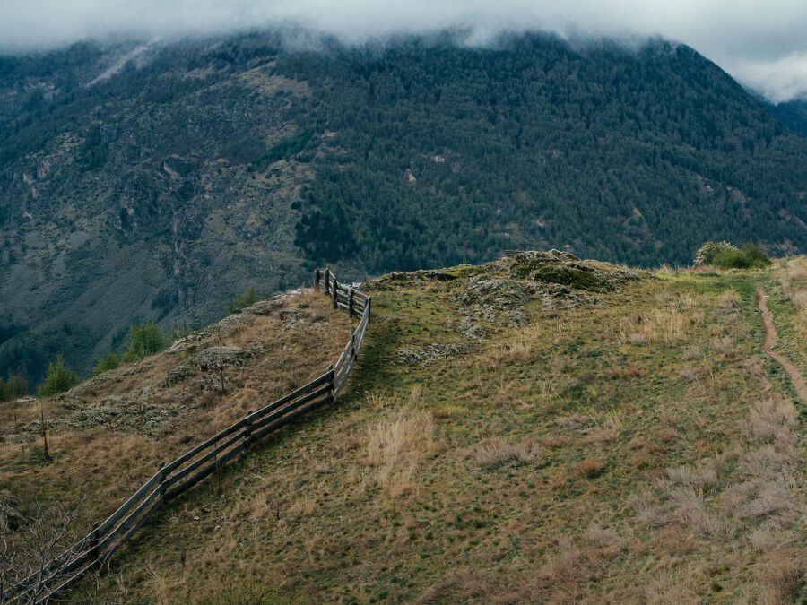 Heren ASI Approved Products