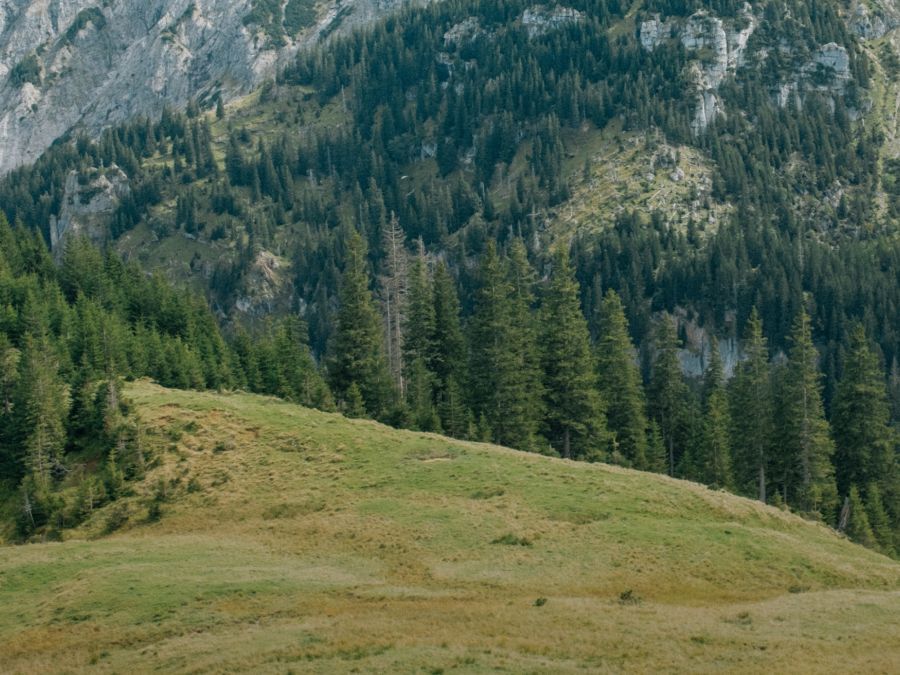 Kinderen Reflecterende producten