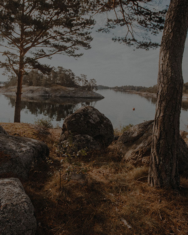Pagina niet gevonden – JACK WOLFSKIN 404 Pagina niet gevonden | Bever | Reizen, Tent, Slaapzak