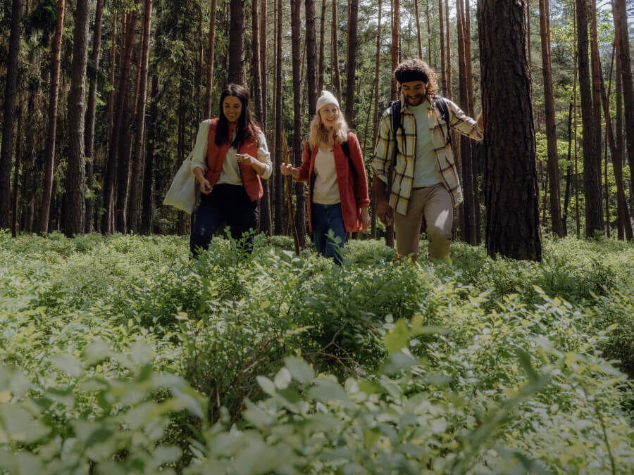 Heren lifestyle online kopen JACK WOLFSKIN