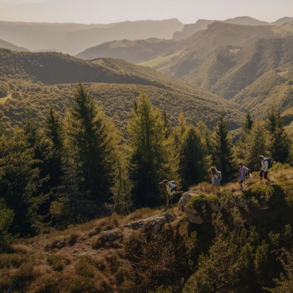 Droneopname van vier zomers geklede wandelaars in een bosrijk berglandschap